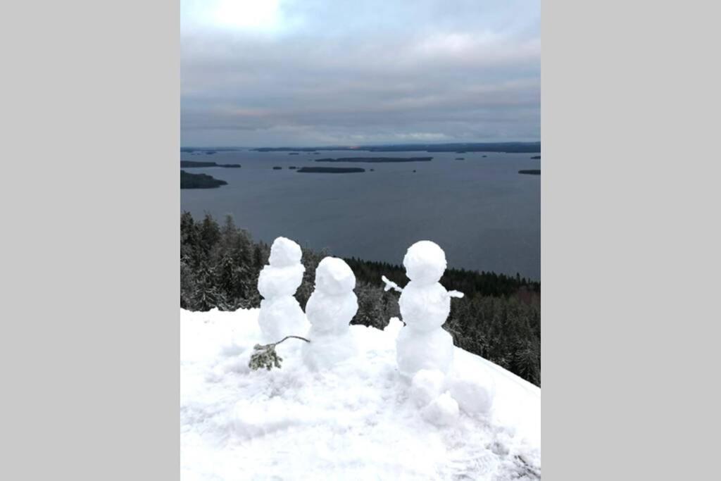 Kolin Pikkukolo - Saunallinen Studiohuoneisto Koli  Luaran gambar